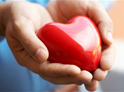 Heart in Hands